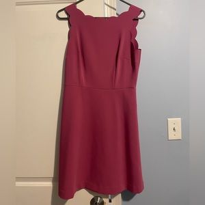 Dark Pink Loft A-Line dress